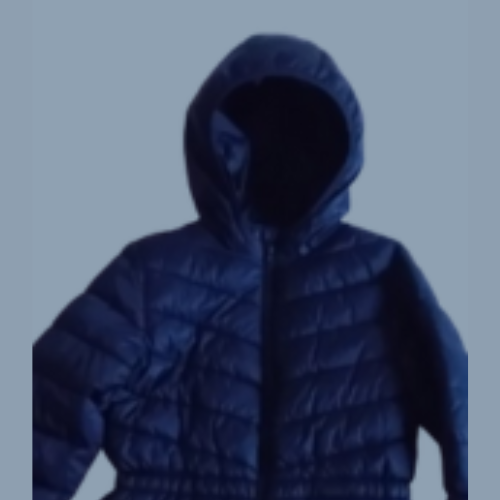 Manteau en duvet est imperméable pour fille